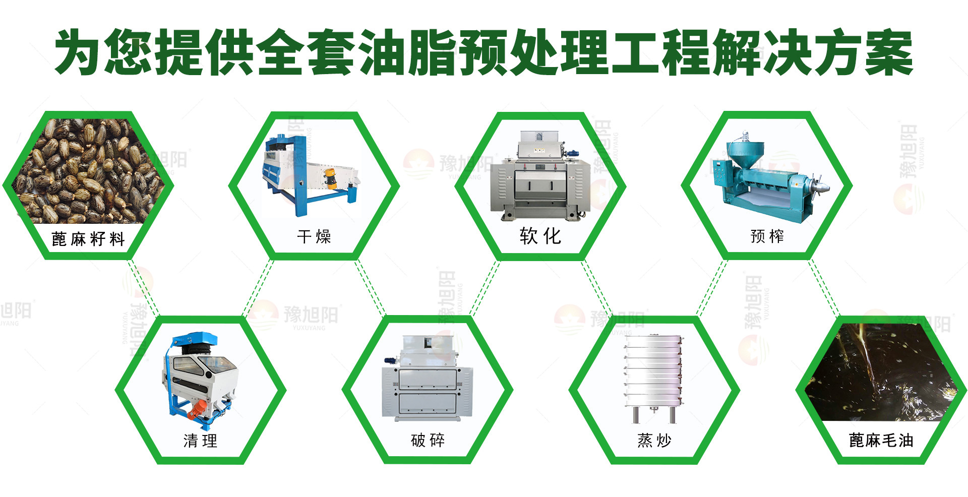 蓖麻籽预处理 蓖麻籽预处理